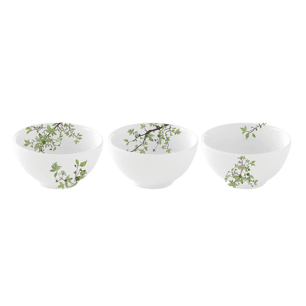 Set ciotoline