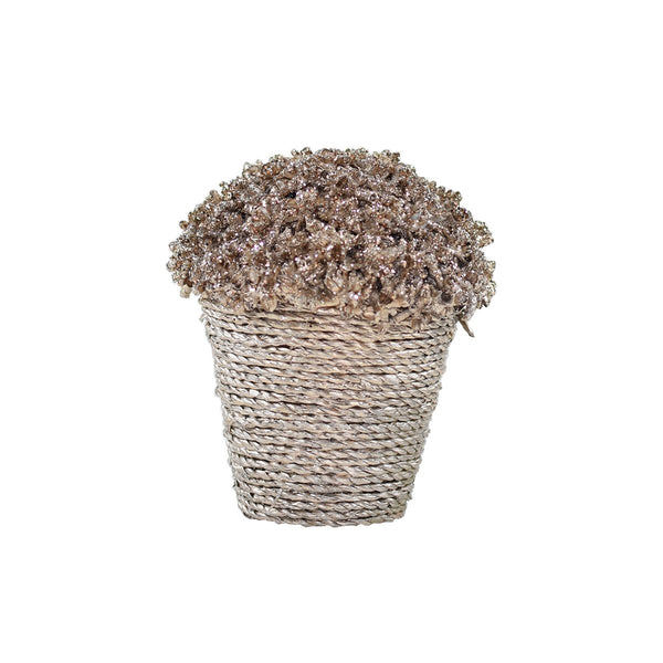Vaso felce