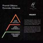 Profumo per Lavatrice concentrato Velvet